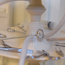 Warm Bodies, Ghostly Specimens, Stoic Machines | Installation Details II