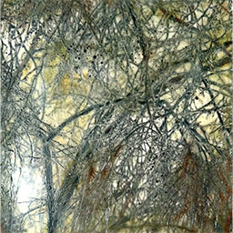 'Beauty in Frozen Devastation 5'