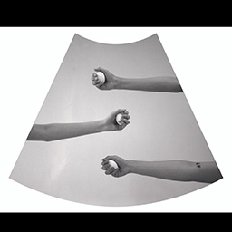 The Choice of Choices