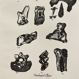 04 Osteological Effigies