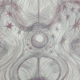 04 Spinal Cord Section