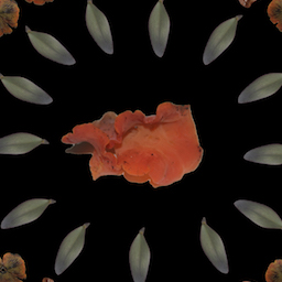 Foraged Digital Collage #7