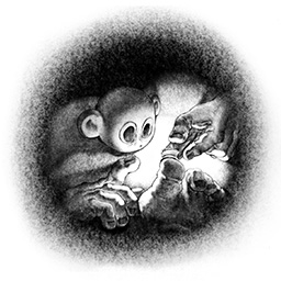 Feeling Lonely? Your Best Friend 