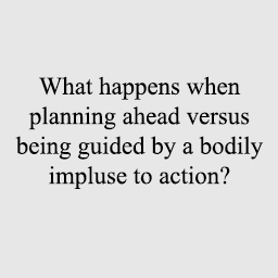 The Artist as a Cartesian Dualist or as a Motor Intentionalist