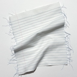 Describe Your Dream Day