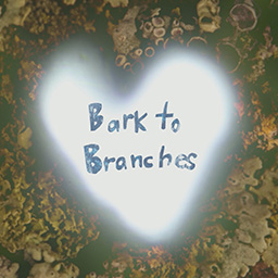 Bark to Branches