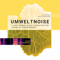 UMWELTNOISE
