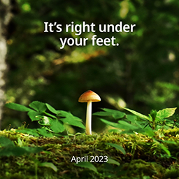 MYCÖ Advertising Campaign 