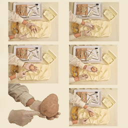 Warm Bodies, Ghostly Specimens, Stoic Machines | Specimens ~ Dissections