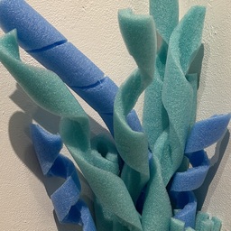 01 Aplysina chlorinium