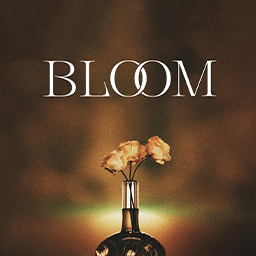 Bloom