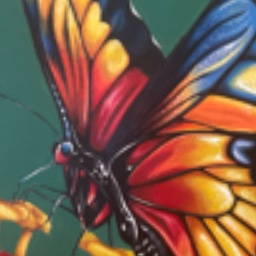 Butterfly