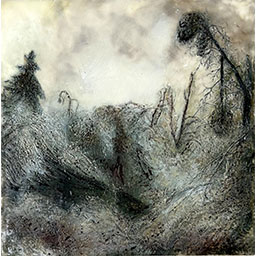 'Beauty in Frozen Devastation 4'