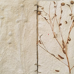 A Book From Seed and Soil