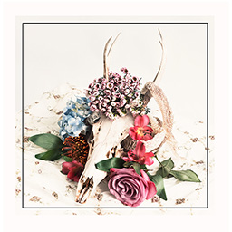 Memento Mori/ For Jury Consideration