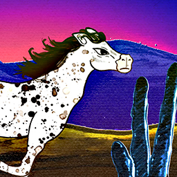 Wild Appaloosa