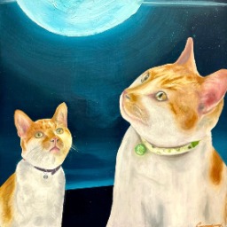 Cheeto and the Moon