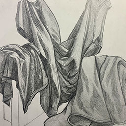 Fabric Study