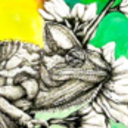 Chameleon 