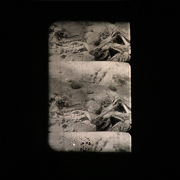 Death to nostalgia and to the tellings of my own beginnings