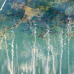 stand in water (iii)