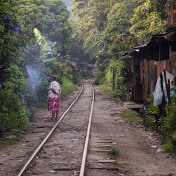 crónicas peculiar de juan j. carbonero (ii)