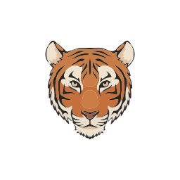 Chinese Year: Year of the Tiger