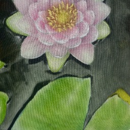 Backyard Lilly