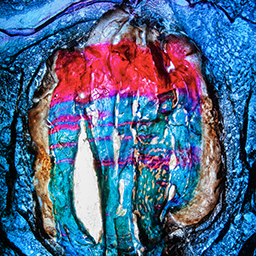 The Book of Waves Pt3