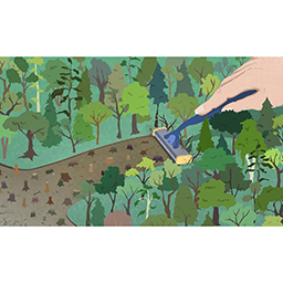 Razor As Deforestation