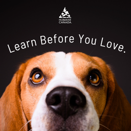 Humane Canada - Learn Before You Love.