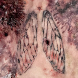 Desire Line I: Wings