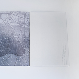 Untitled Zine