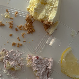 APOCALYPTIC DATING SIM