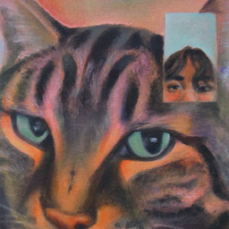 POV Facetiming the Cat