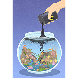 Oil Spills As Fish Food