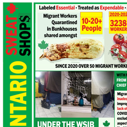 Good Things Grow in Ontario Sweat Shop$