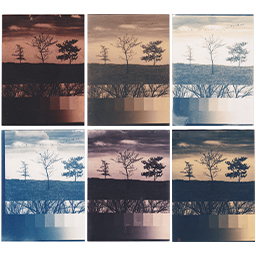 Experimental Process: Toning Cyanotypes