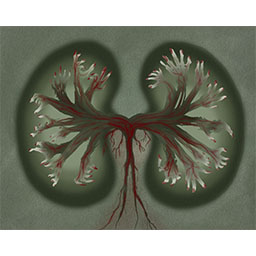 6 - Fear (恐) - Kidneys