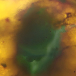 Microscope compilation