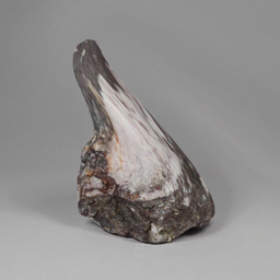 Signal to Noise Ratio or How to Reconcile an Object