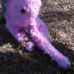 I Will Carry it all Along with me