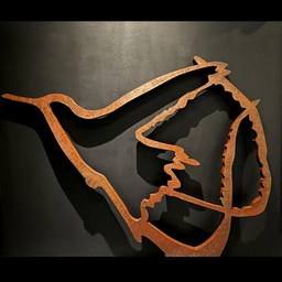 Streamertail Bike Ring