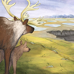 The Caribou Taste Different Now