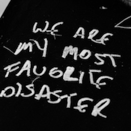 WE ARE MY MOST FAVOURITE DISASTER 