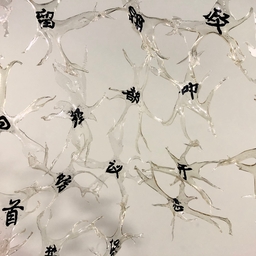 缅怀 (in memoriam)