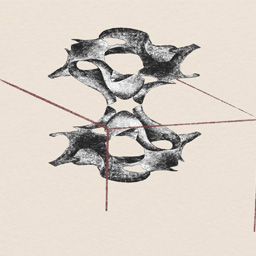 Collective Nest