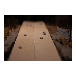 PDF for Fourth Year Awards & Medals - "From Highway to trails" (open pdf)