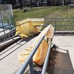 Latex Tarps: Christie