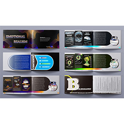 Emotional Realism Booklet